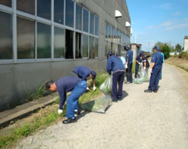 ���ނ���img